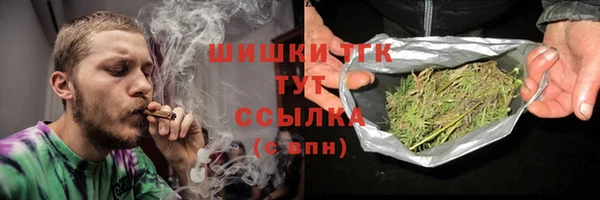 шишки Новокубанск