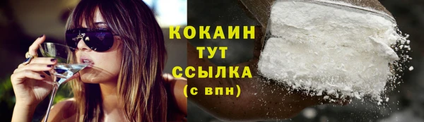 альфа пвп Новодвинск