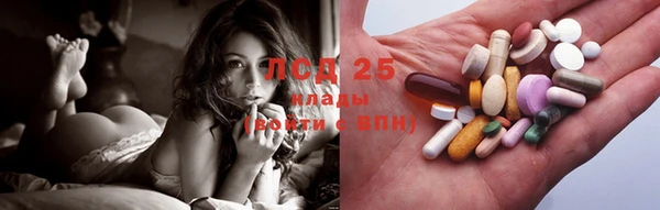 шишки Новокубанск