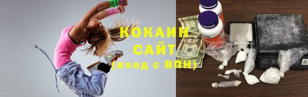 шишки Новокубанск