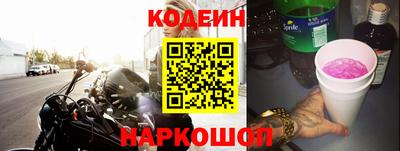 индика Гатчина