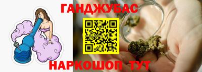 индика Гатчина
