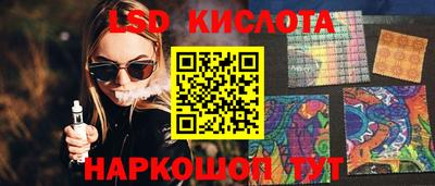 индика Гатчина