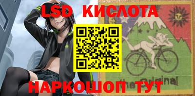 индика Гатчина