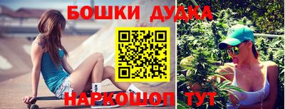 индика Гатчина