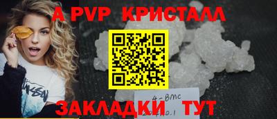 индика Гатчина