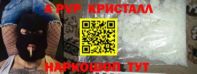 индика Гатчина
