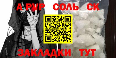 индика Гатчина