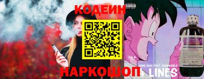 индика Гатчина