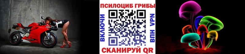 цены наркотик  Норильск  Псилоцибиновые грибы мицелий 