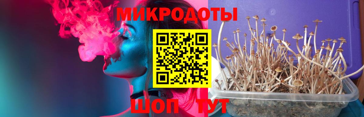 Псилоцибиновые грибы Magic Shrooms Норильск