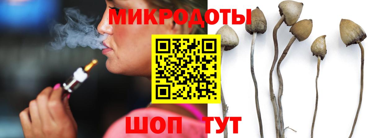 Галлюциногенные грибы Magic Shrooms  Вход с VPN  где найти   Галлюциногенные грибы ЛСД  Норильск 
